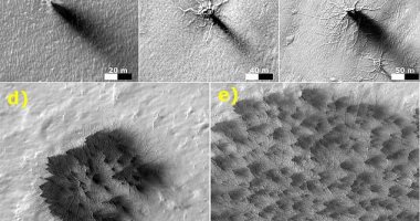 اكتشاف حقيقة التشكيلات الغامضة على سطح المريخ الشبيهة بالعناكب السوداء