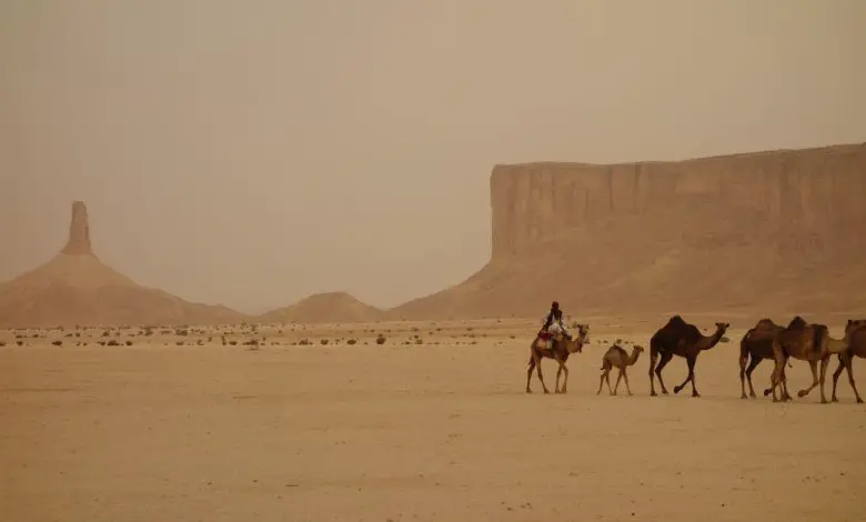 مقدمة عن الحرب العثمانية الوهابية