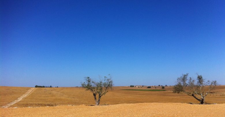 التصحُّر