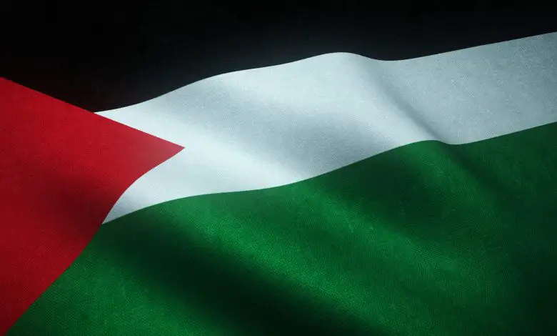 تاريخ سيطرة الفاطميين على الشام وفلسطين والحجاز