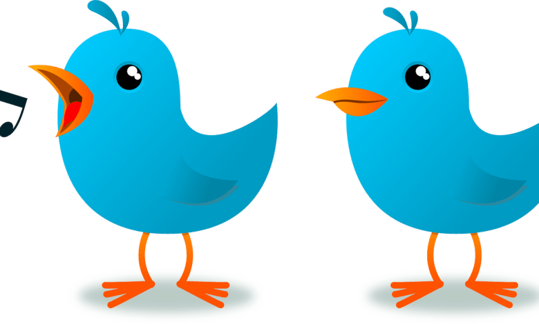 أفكار نادرة حول كيفية استخدام تويتر Twitter