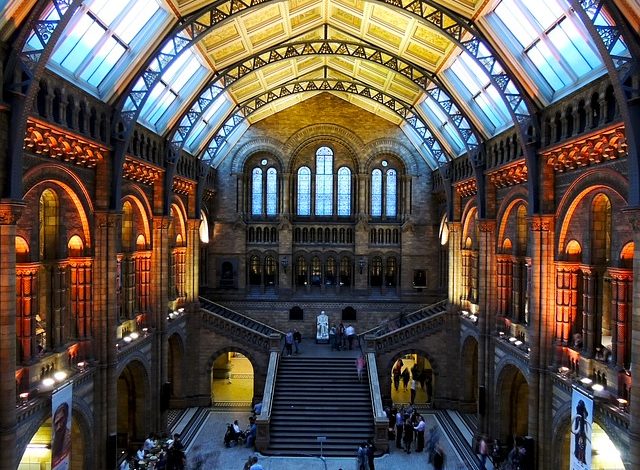 تطبيق NATURAL HISTORY MUSEUM