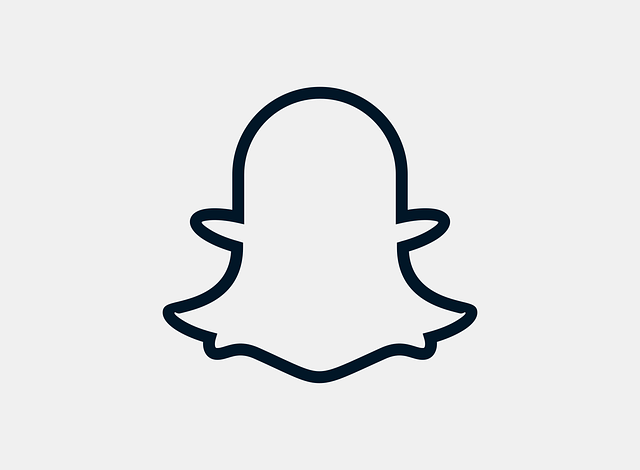 ما هو نظام مزاد سناب Snap Auction