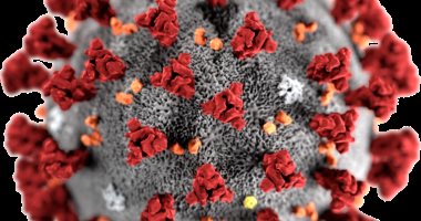 الروس يبتكرون تكنولوجيا للكشف عن 3 أنواع فرعية لـأوميكرون