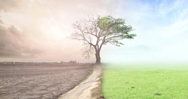 تقرير: تغير المناخ مضر بإنتاج المحاصيل ومنها الذرة.. اعرف التفاصيل