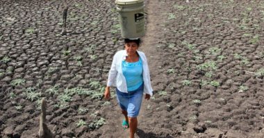 دراسة: 40? من الشباب يخشون إنجاب الأطفال فى المستقبل بسبب مخاطر تغير المناخ