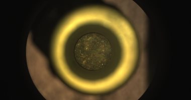 ناسا تستعرض أول عينة صخرية من المريخ عبر مسبار بيرسفيرانس