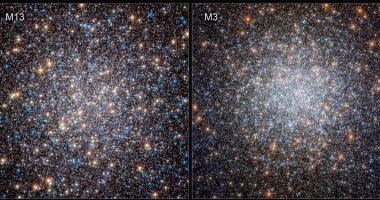 ما هى النجوم المضادة للشيخوخة؟.. تقرير يجيب
