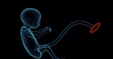 علماء صينيون يبتكرون رحما صناعيا ومربية ترعى الأجنة وتغنى المرأة عن الحمل