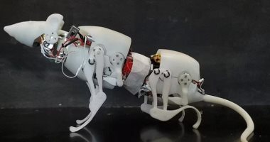 تطوير جهاز تحكم آلى عن بُعد يمكنه المشى والزحف مثل القوارض الحقيقية