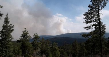 روسيا تستحدث منظومة جديدة لرصد الغابات والأراضى الزراعية عبر الأقمار الصناعية