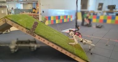 مهندسو جوجل يستخدمون كلابًا حقيقية لتطوير مضمار حواجز للروبوتات