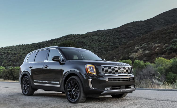 كيا تيلورايد قد تحصل على نسخ أكثر فخامة