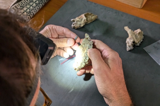 اكتشاف مذهل في إثيوبيا: أحافير تكشف عن قريب غير معروف للبشر