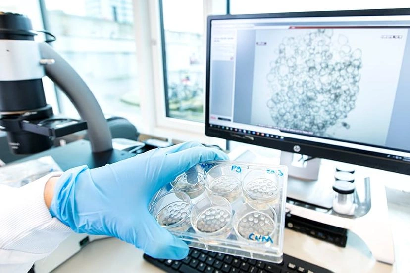 منصة مستقلة لزراعة الأرجانويدات – ثورة في أبحاث الأنسجة ثلاثية الأبعاد