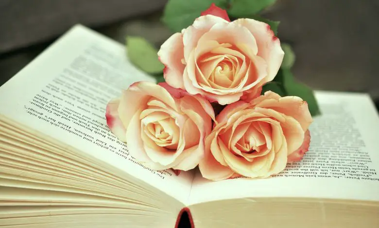 دولة الكويت في عهد صباح وابنه عبدالله