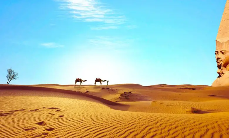 حكام الأسرة المصرية السادسة