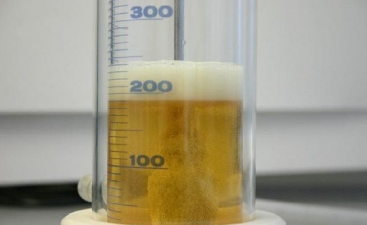 رغوة الزيت ( Foaming Oil )