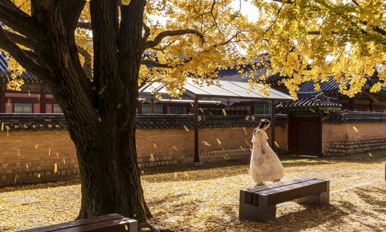 مذابح التطهير الكورية