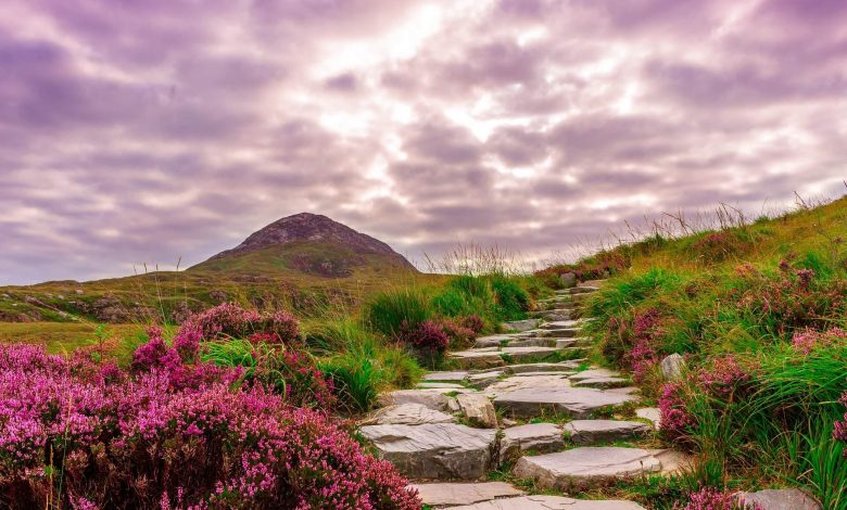 ما هو تاريخ مدينة بلفاست الأيرلندية؟