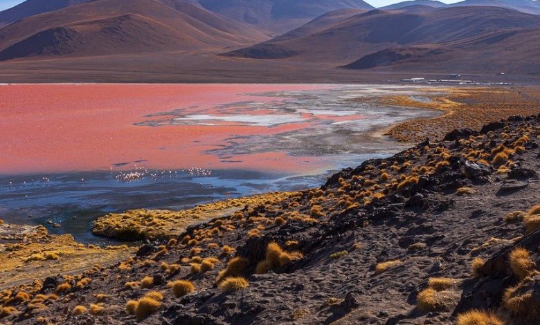 عصر الهولوسين وعلم الطبقات في هذا العصر