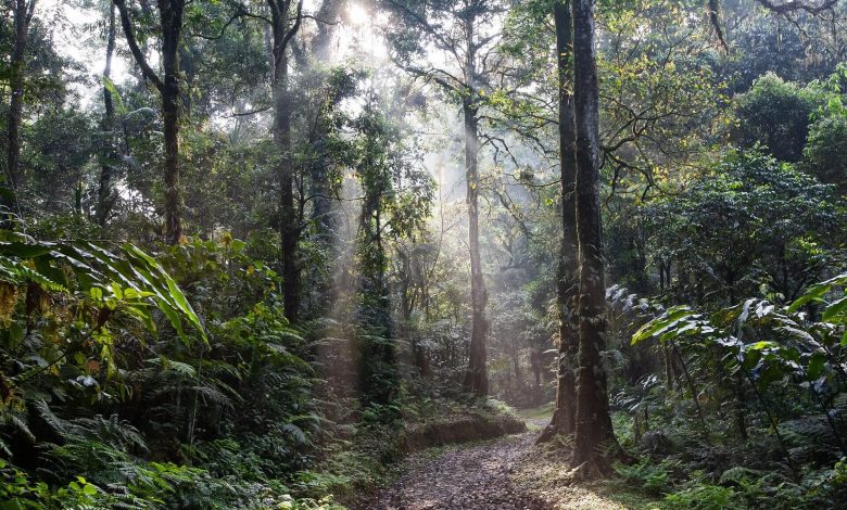 ما هي الثورة الإندونيسية