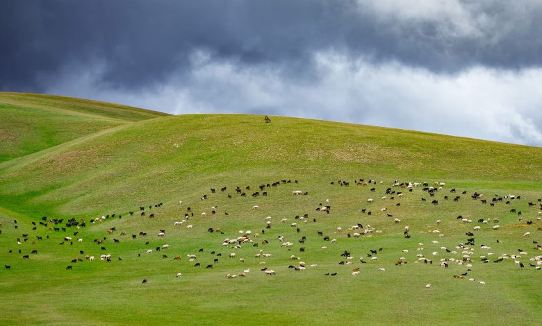 ما هو تاريخ منغوليا القديم؟