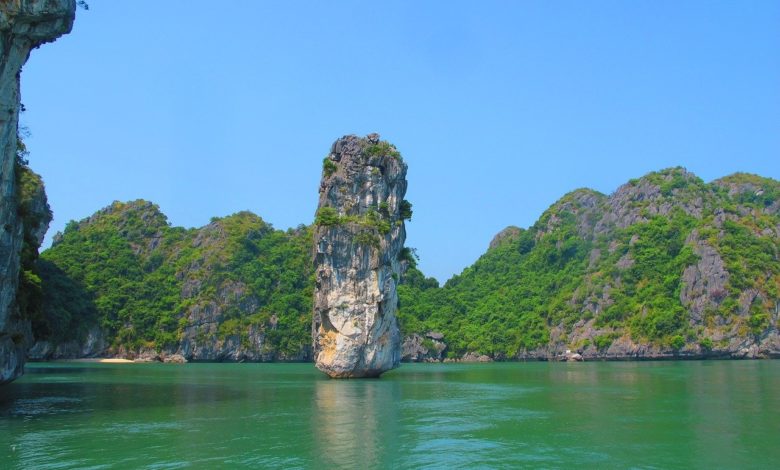 تكتونية الترسيب والإطار الحركي للترسب