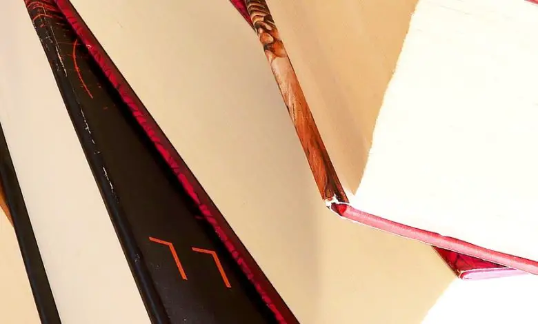 ما هي ألقاب الوزراء في العهد السلجوقي؟