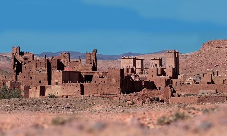 الأمازيغ في الدولة الأموية