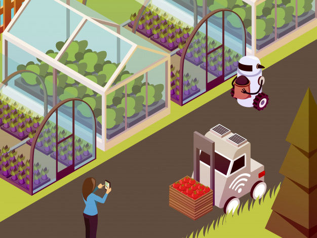 استخدام انترنت الاشياء في الزراعة الذكية لتحقيق الأمن الغذائي