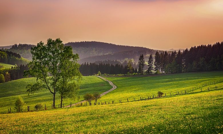 ما هو نموذج فان بولين لباطن الأرض؟