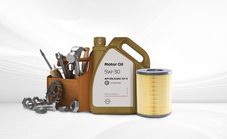 عروض صيانة الباب للباب من نيسان بترومين