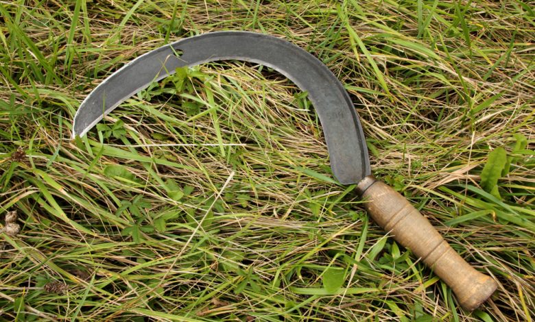 قصة اختراع المنجل