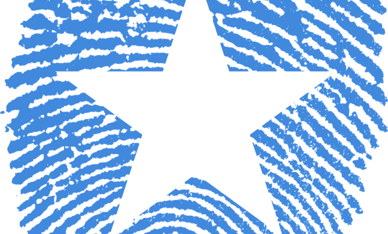 اقتصاد الصومال