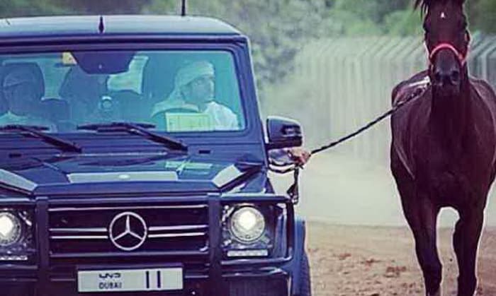 هكذا يدرب الشيخ محمد بن راشد آل مكتوم خيوله السباقية من داخل مرسيدس G63 AMG