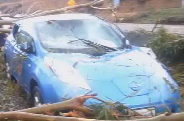 فيديو : ياللسخرية . . نيسان ليف تتعرض للسحق من قبل شجرة كبيرة