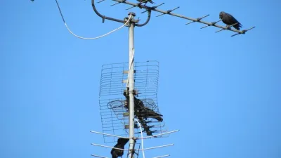 الهوائيات العمودية – Vertical Antennas