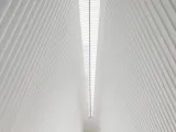التناظر الجزيئي في الكيمياء