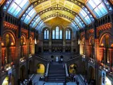 تطبيق NATURAL HISTORY MUSEUM