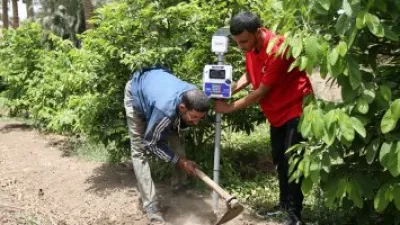 «فودافون بيزنس» تعقد بروتوكول تعاون مع كلية زراعة جامعة القاهرة لتزويدها بأحدث حلول الزراعة الذكية باستخدام تقنيات إنترنت الأشياء