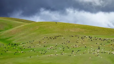 ما هو تاريخ منغوليا القديم؟
