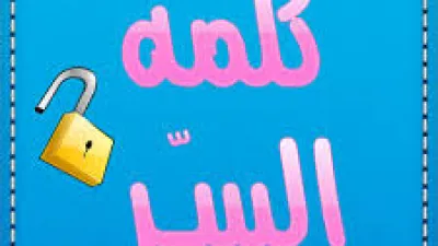 كلمة السر....بين تقنية حماية من جهة وسبب للصداع في ادارتها من جهة اخرى