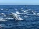لماذا يوجد ماء على الأرض؟.. العلماء يجيبون