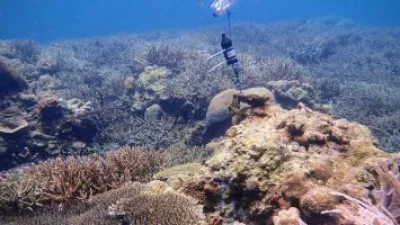 باستخدام الذكاء الاصطناعى.. علماء يسمعون ما لا يمكن سماعه فى البحار