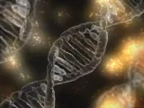 تروفيم ليسينكو