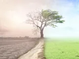 العلماء يحذرون من تدهور خطير فى المناخ .. اعرف التفاصيل