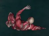 تطبيق Muscle System Pro