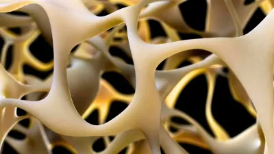 Scientists Activate GPR133 Receptor to Reverse Osteoporosis in Breakthrough Study