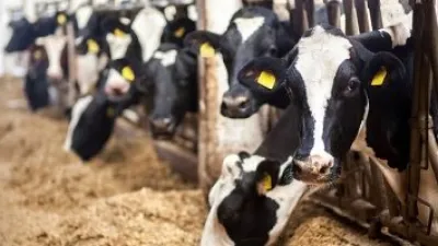 تطوير برق اصطناعى يفتت 99? من غاز الميثان قبل وصوله الغلاف الجوى